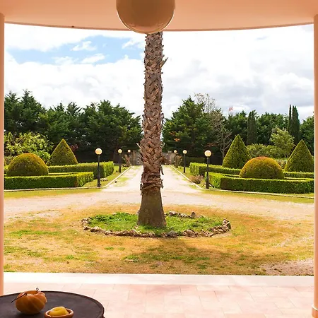 Delle Lantane * ميسانيي